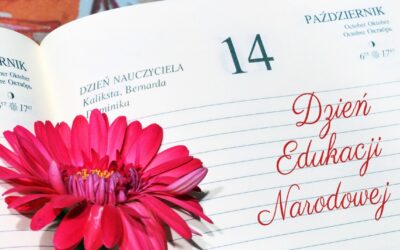 Szkolne akcje z okazji DEN
