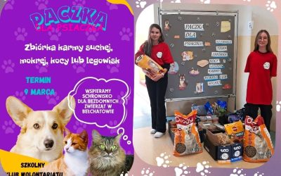 Podsumowanie zbiórki charytatywnej „Paczka dla psiaczka”